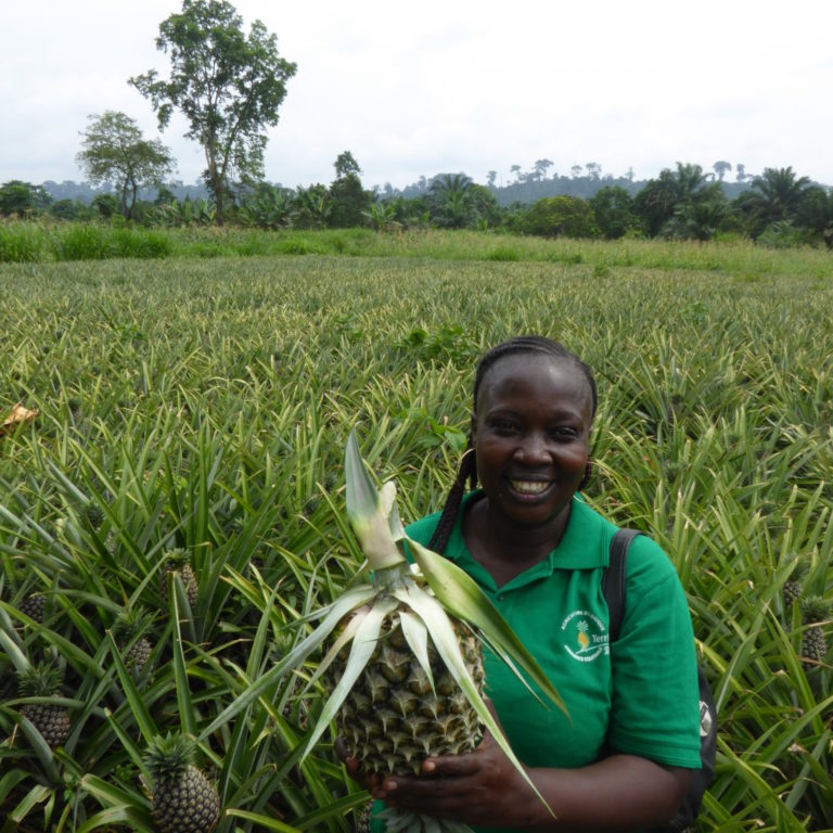 CAMEROUN – TERRESPOIR