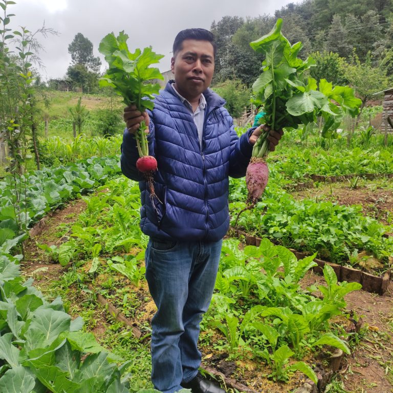 MEXIQUE