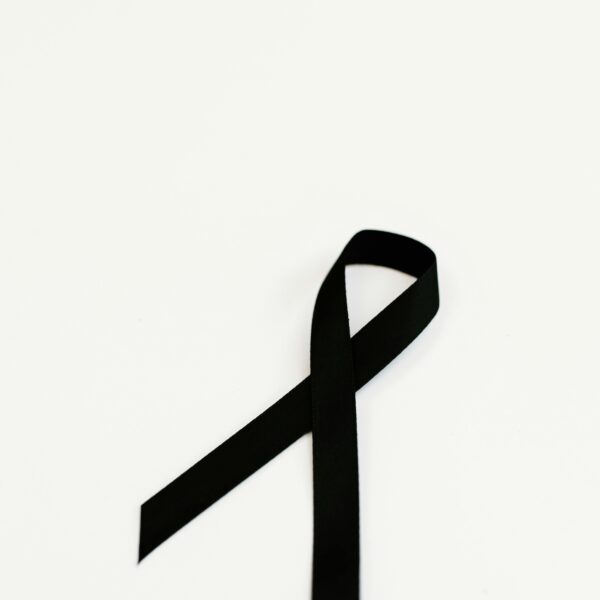 pexels-tara-winstead-8384510