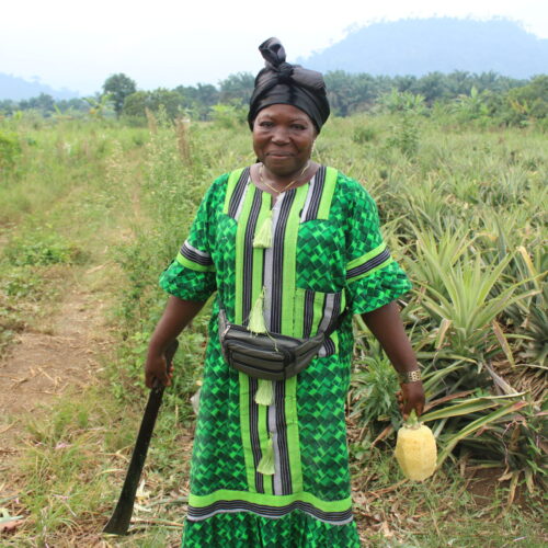 Elise productrice ananas 2