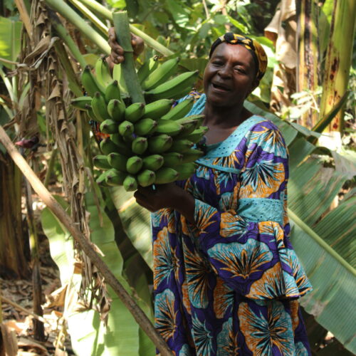 Justine productrice de bananes