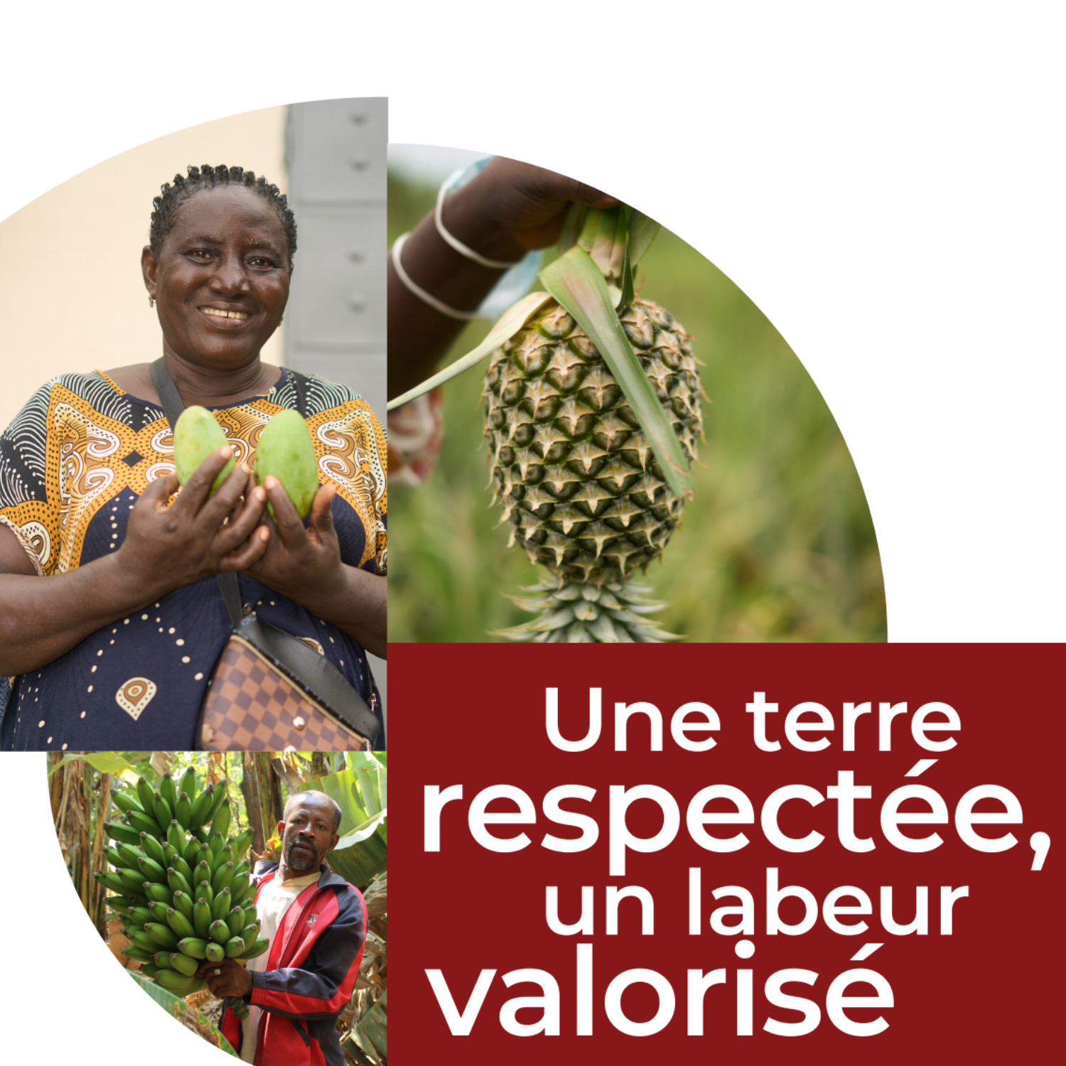 Campagne de DM – 2026